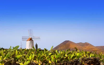 Fontanero en Guatiza