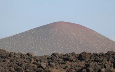 Fontanero en Tinguantón (Lanzarote)