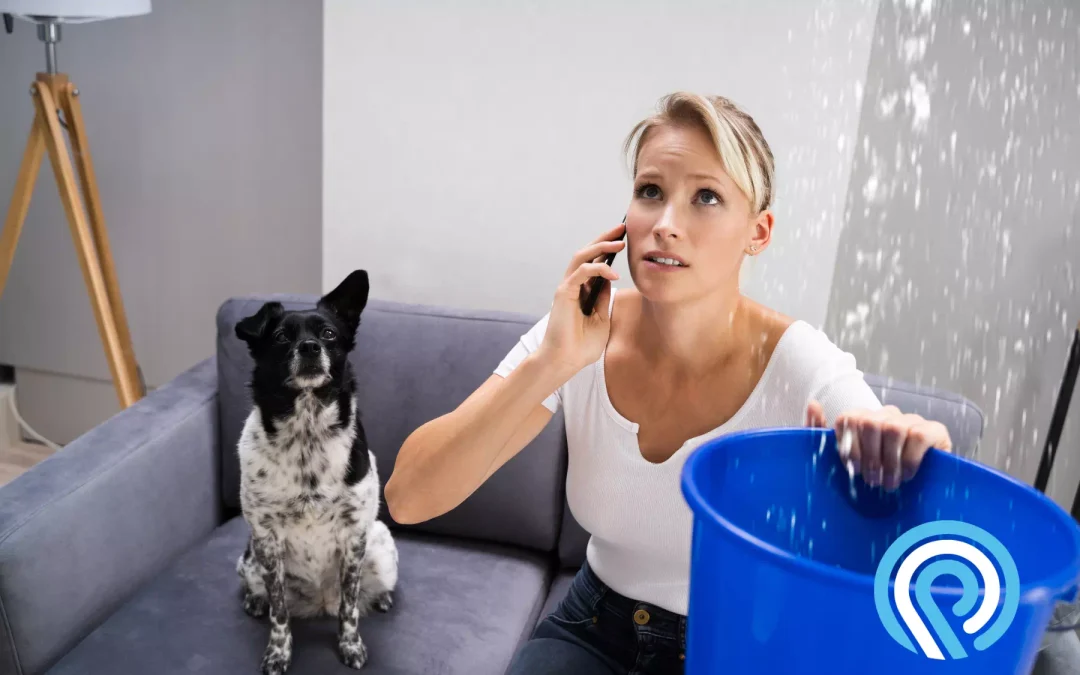 Gotas que cuestan Detecta y soluciona las fugas de agua más comunes en Arrecife